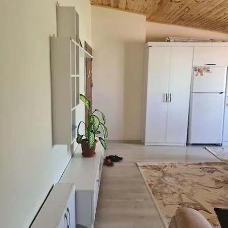 Istanbulun Merkezinde Luex 2 Odali *